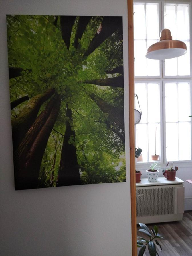 سزومباثيلي Green Dot Home المظهر الخارجي الصورة